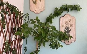 Nina'S House In The Center Of Volos